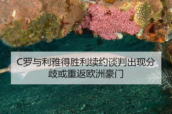 C罗与利雅得胜利续约谈判出现分歧或重返欧洲豪门